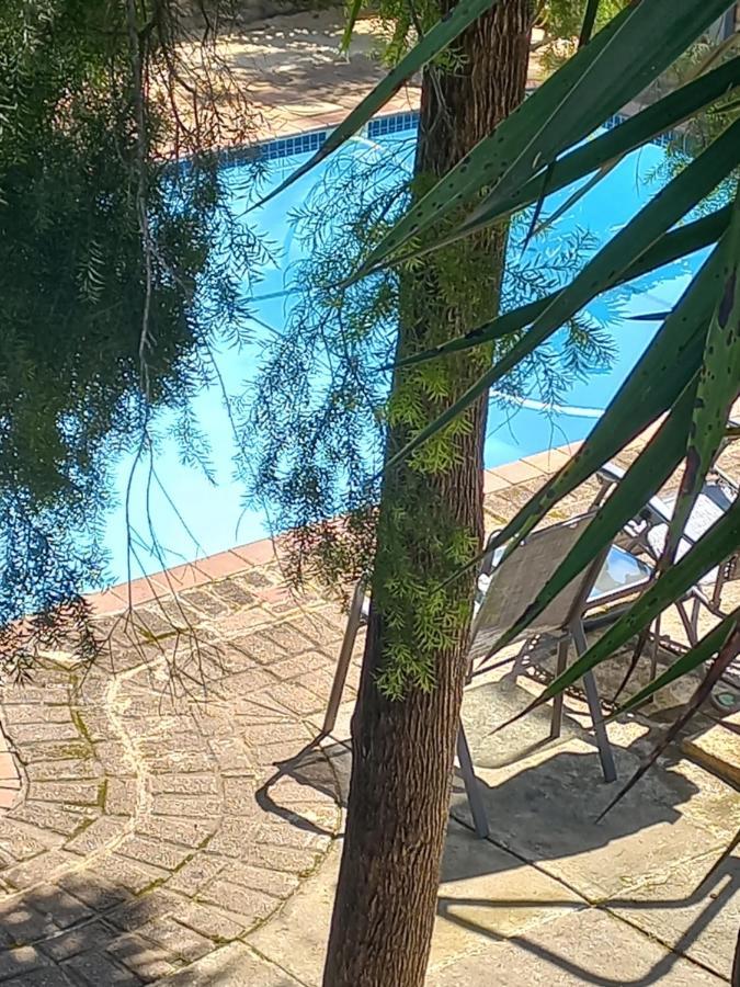 Kruger'S Guest House White River Bagian luar foto
